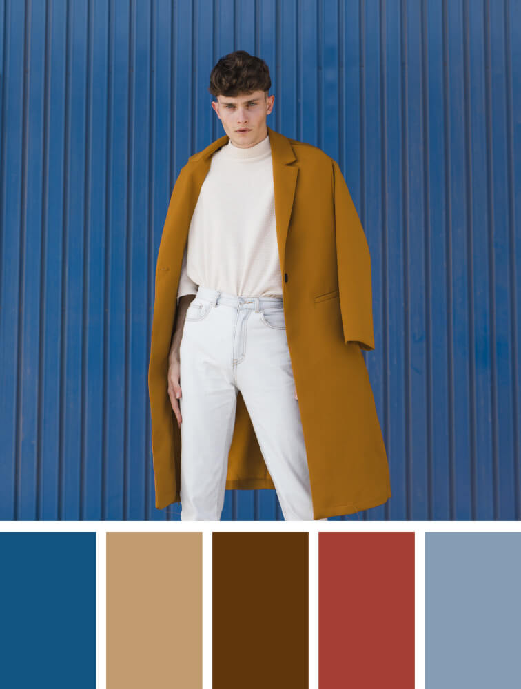 J D Williams Catalogue